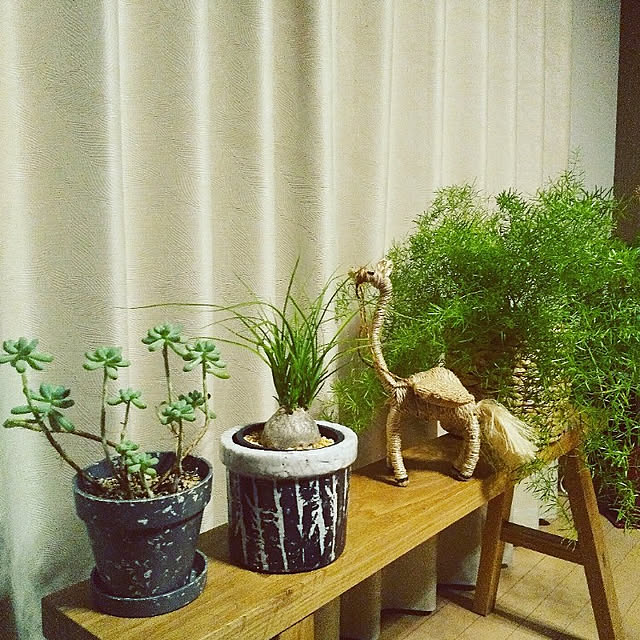 mu.hさんの実例写真