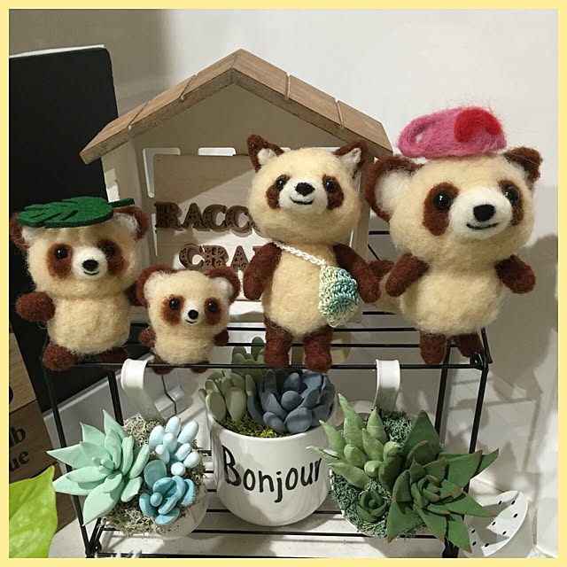 Raccoonさんの実例写真