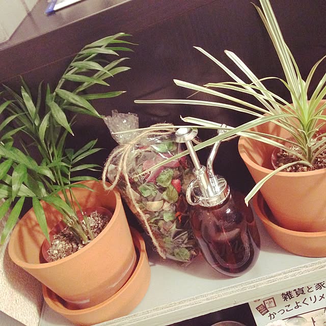 grizzly.hさんの実例写真
