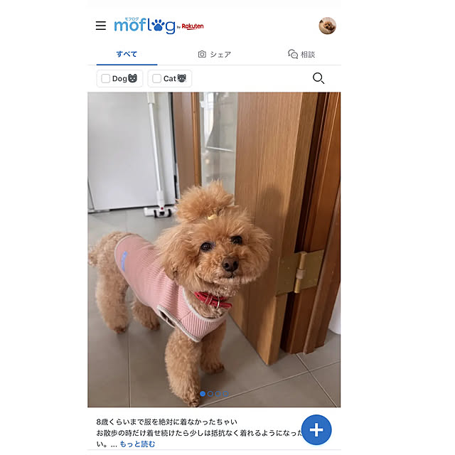 chaimomさんの実例写真