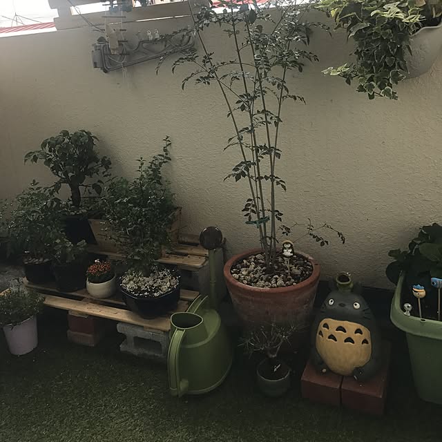 jyejyeさんの実例写真