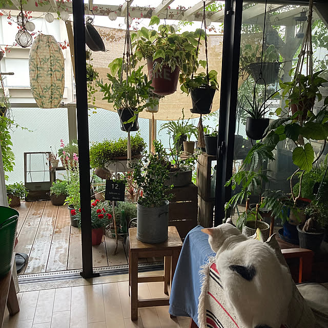 izumiさんの部屋