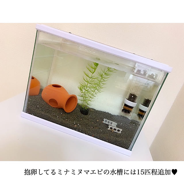 chaluさんの実例写真