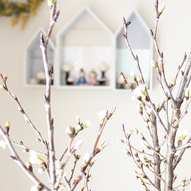 yukkin29さんの部屋