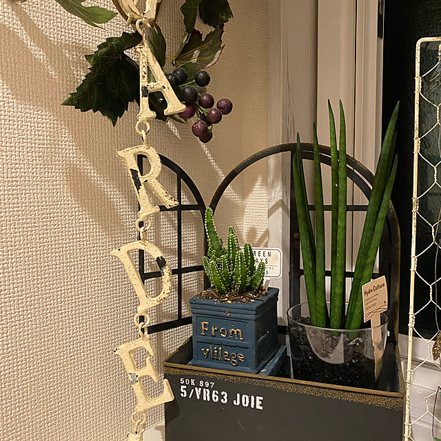 アンティーク/観葉植物/多肉植物/3COINS/バス/トイレのインテリア実例 - 2021-11-10 23:01:37