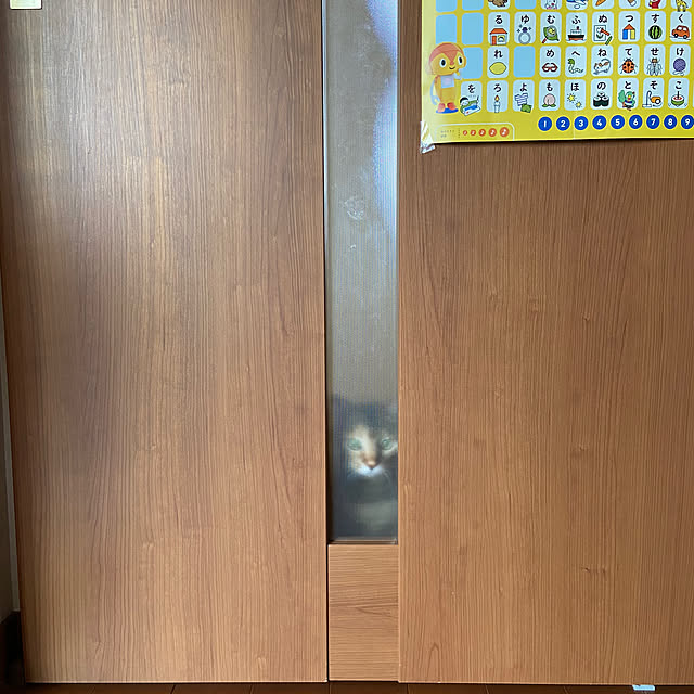 hansho.sさんの実例写真