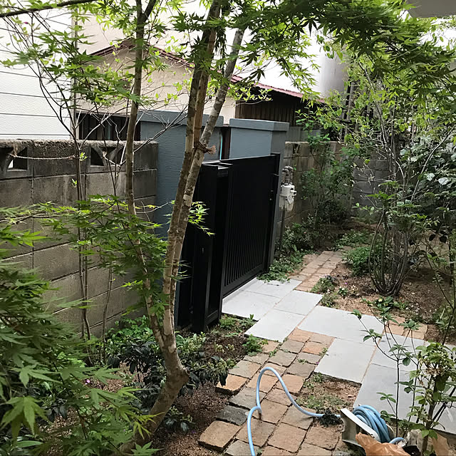 玄関/入り口/庭/雑木の庭/リノベーション/こどもと暮らす...などのインテリア実例 - 2018-04-10 21:32:19