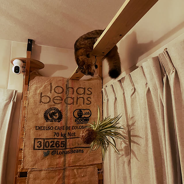 Mさんの実例写真