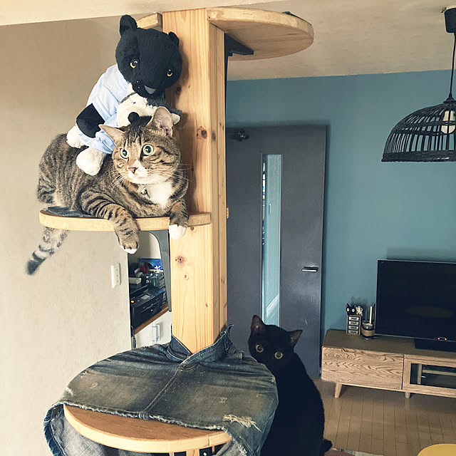 suemonta14さんの実例写真
