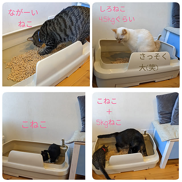 jacky-m-さんの実例写真