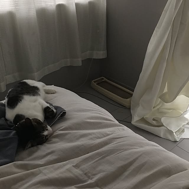 Shihoさんの実例写真