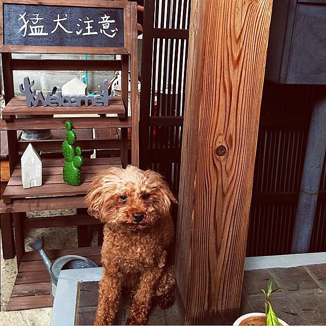 chacoさんの実例写真