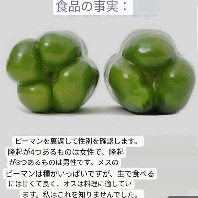 ramu29さんの部屋