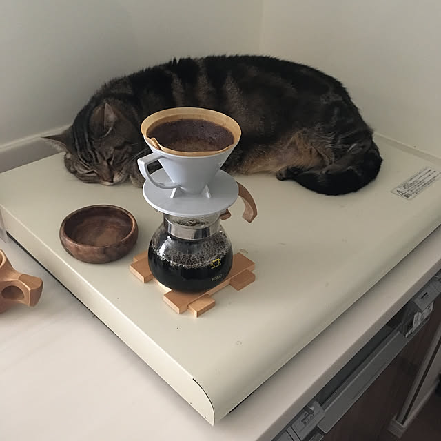 mikomaruさんの実例写真