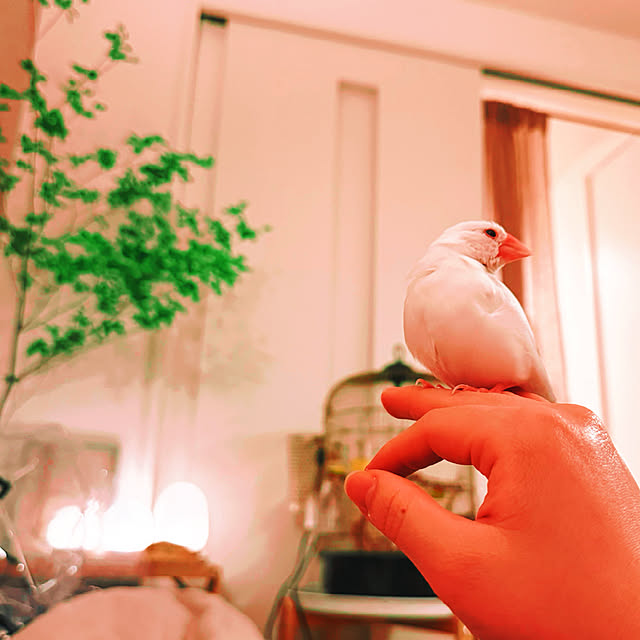 Ursulaさんの部屋