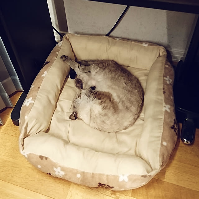 bonobono54さんの実例写真