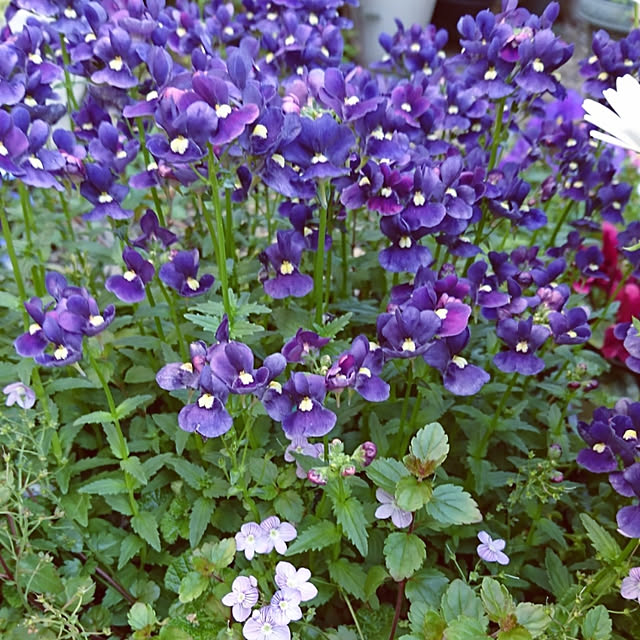 lovery634_rさんの実例写真