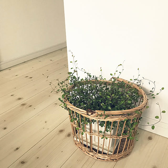huwahuwaさんの実例写真