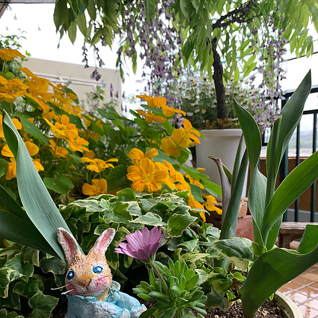 Aqettyさんの部屋