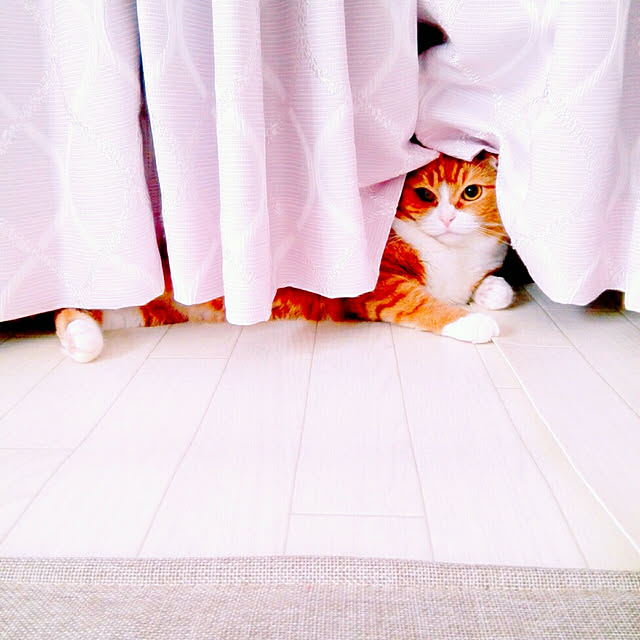 kumingさんの実例写真