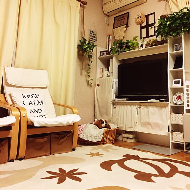 canmilmamaさんの実例写真