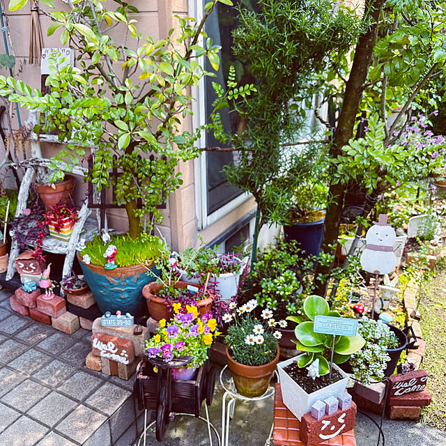 takakoさんの部屋