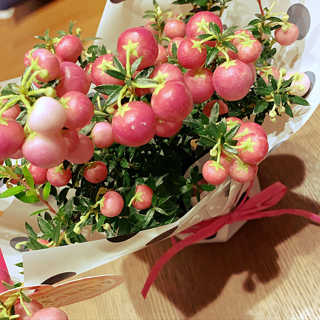 部屋全体のインテリア実例 - 2019-11-09 08:28:22