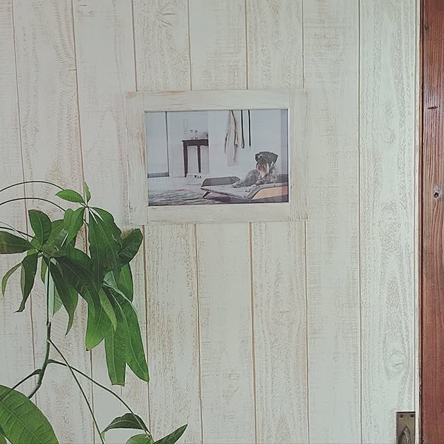 seroriさんの実例写真