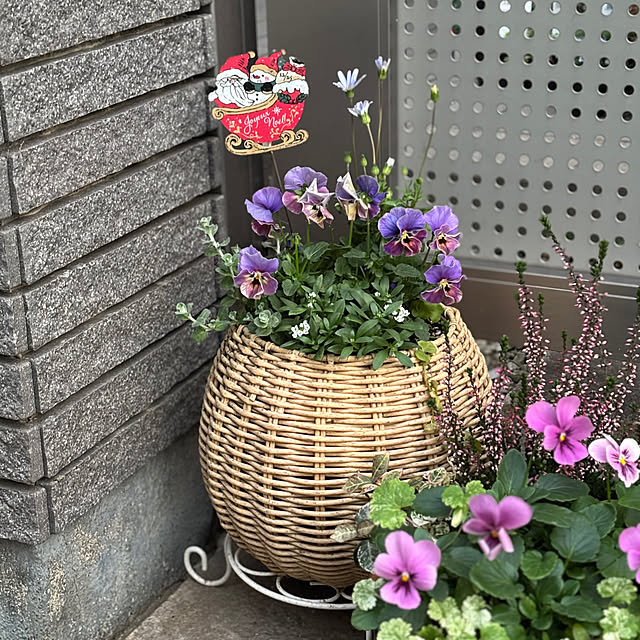 maayaさんの部屋