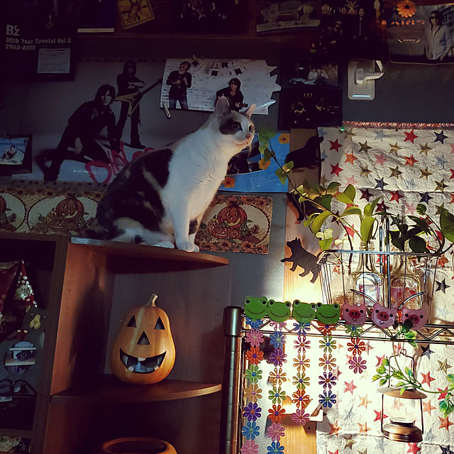 kumutanさんの実例写真