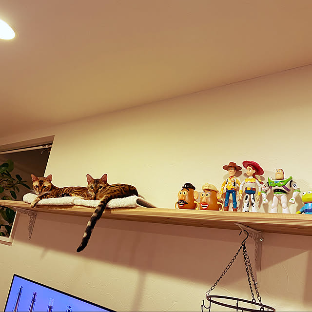 jamさんの実例写真