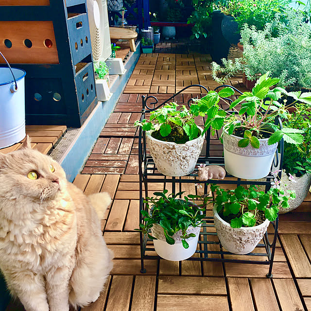 naokoさんの実例写真