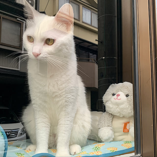 keiさんの実例写真