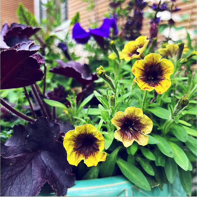 yukarin-gardenさんの部屋