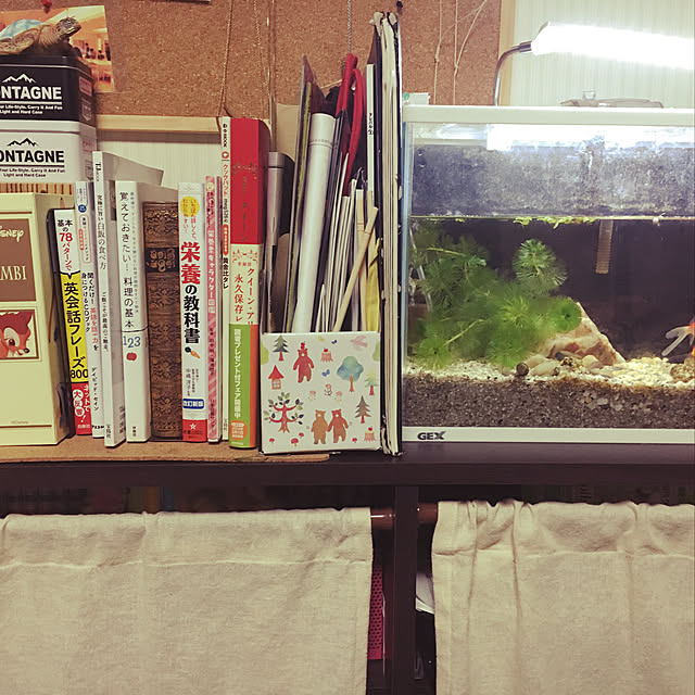 Minaさんの実例写真