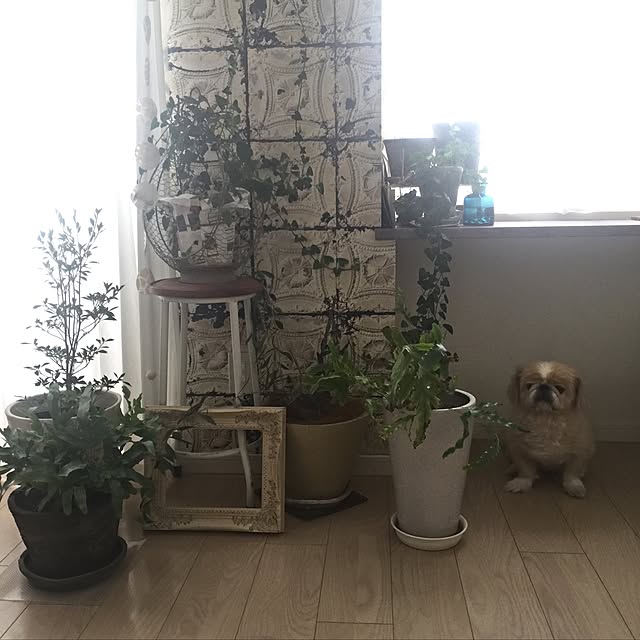 bubuさんの実例写真