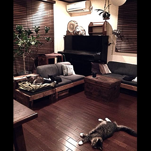 jnkaiさんの実例写真