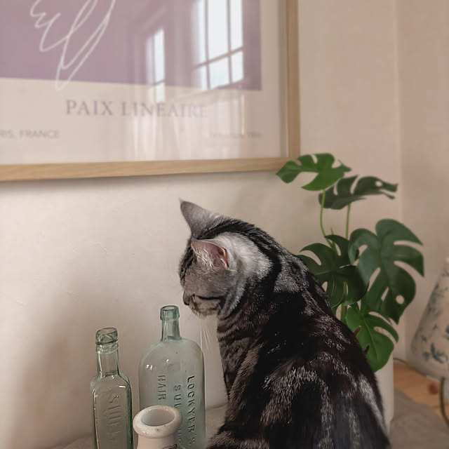 meeさんの実例写真