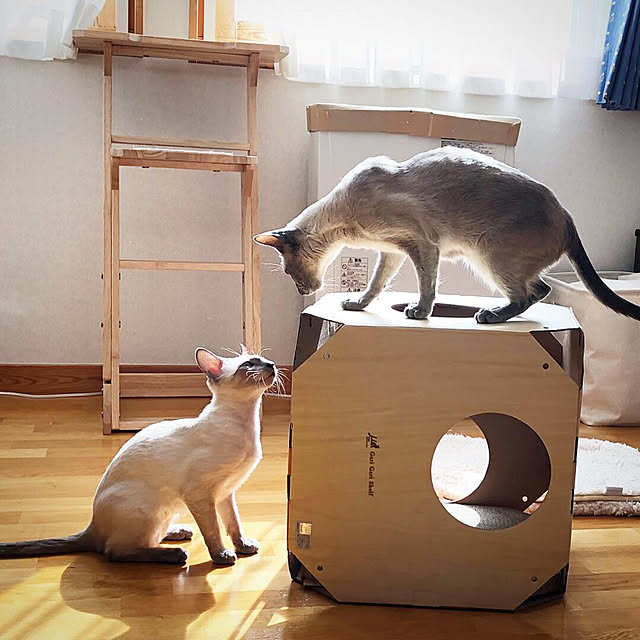 mujinekoさんの実例写真
