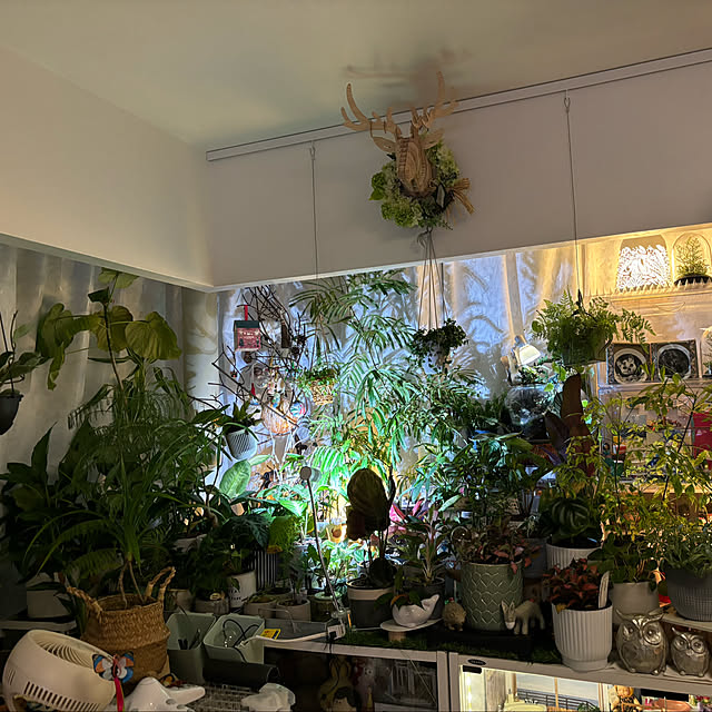 likeさんの部屋