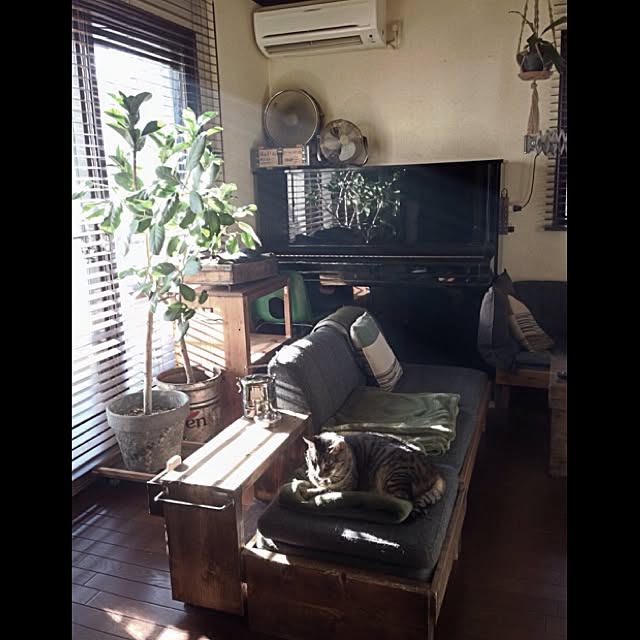 jnkaiさんの実例写真