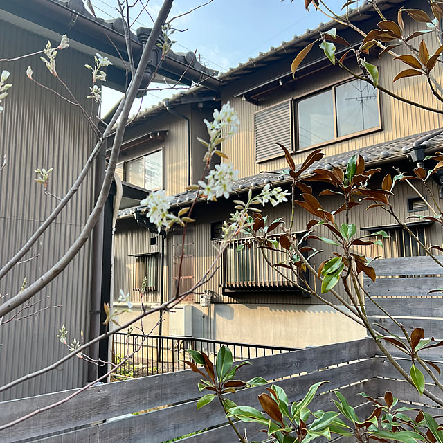 fxs-rrさんの部屋