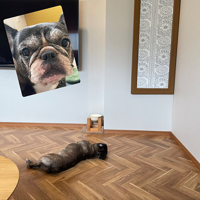 SIELUさんの実例写真