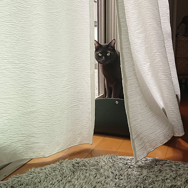 maikyさんの実例写真