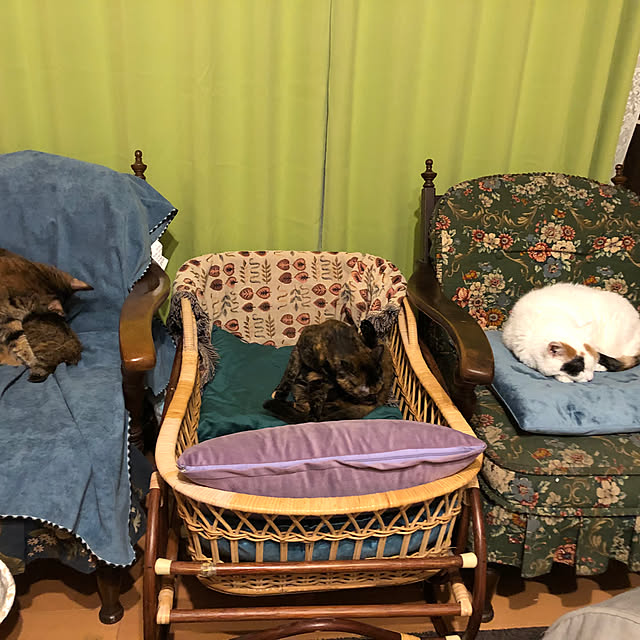 junbuさんの部屋