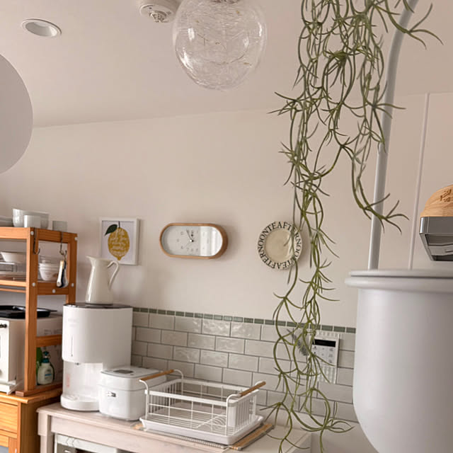 safariさんの実例写真