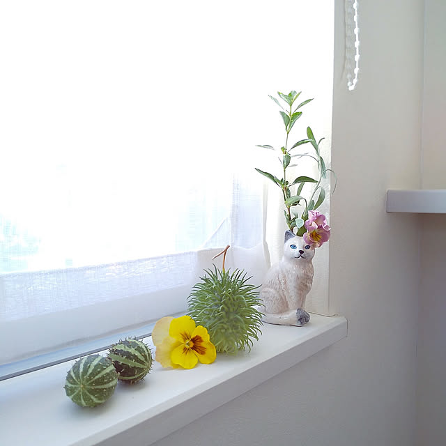 Haさんの実例写真