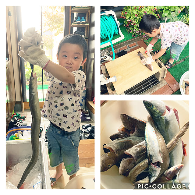 実例写真