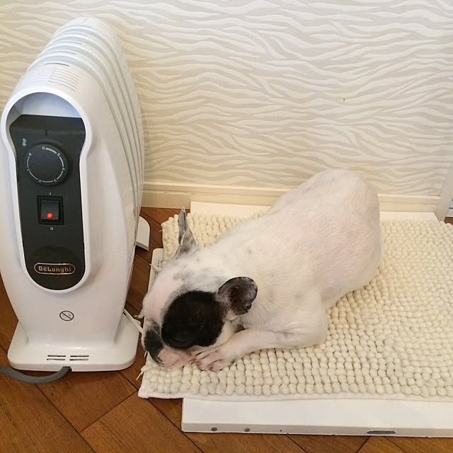 Mさんの実例写真