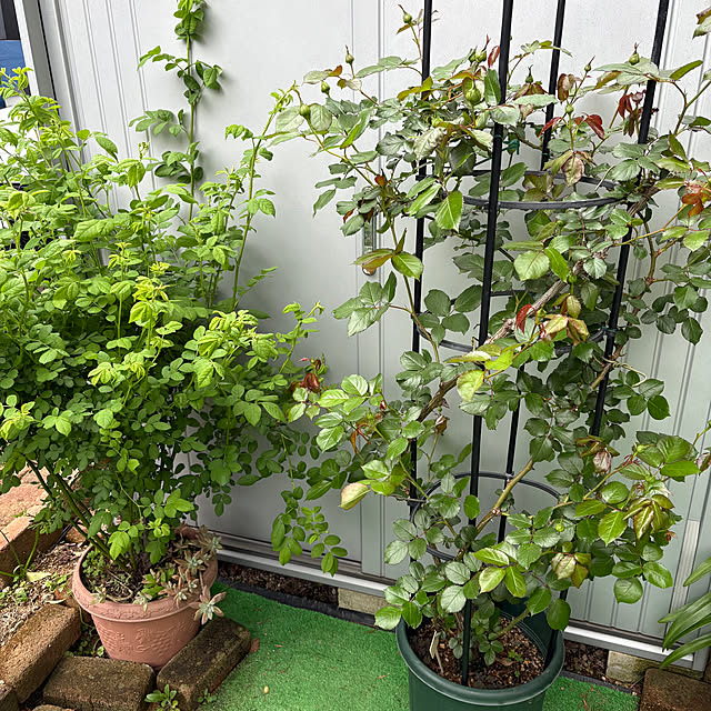 nannoさんの実例写真